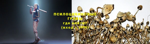 ПСИЛОЦИБИНОВЫЕ ГРИБЫ Аркадак
